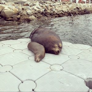 Meet your Posher, Natsuko